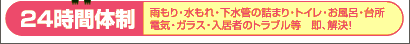24���ԑ̐�