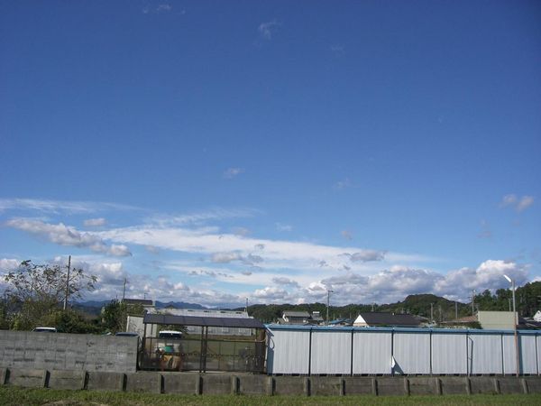 トダックス 台風の後の青空
