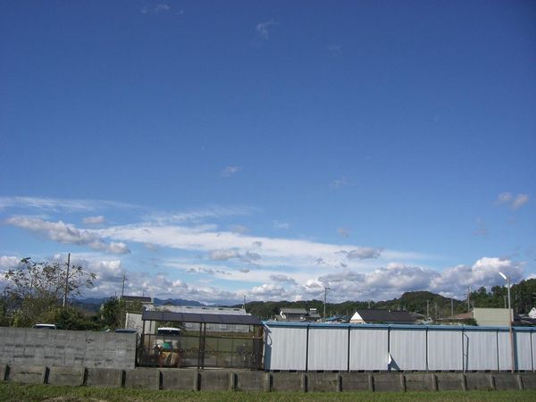 トダックス　台風の後の青空