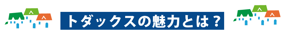 トダックスの魅力とは